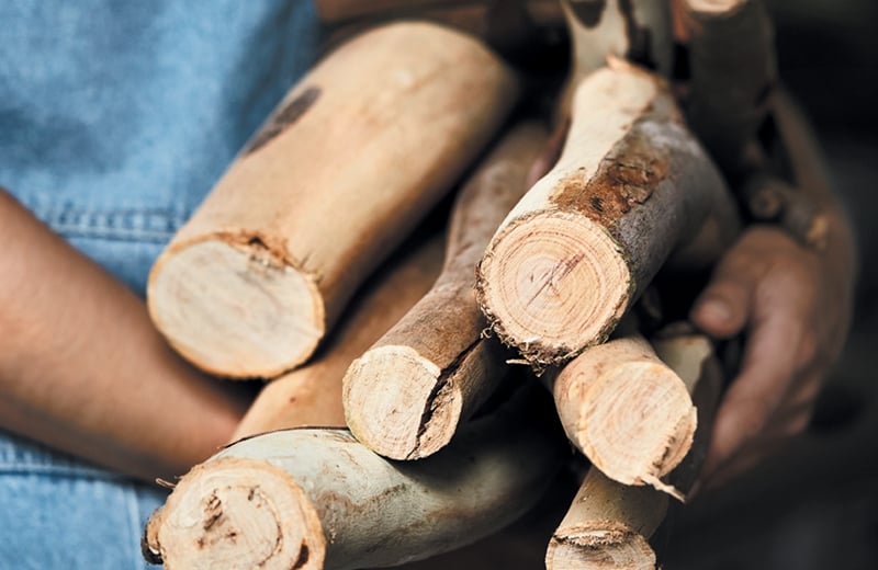 THE WARMTH OF TIMBER